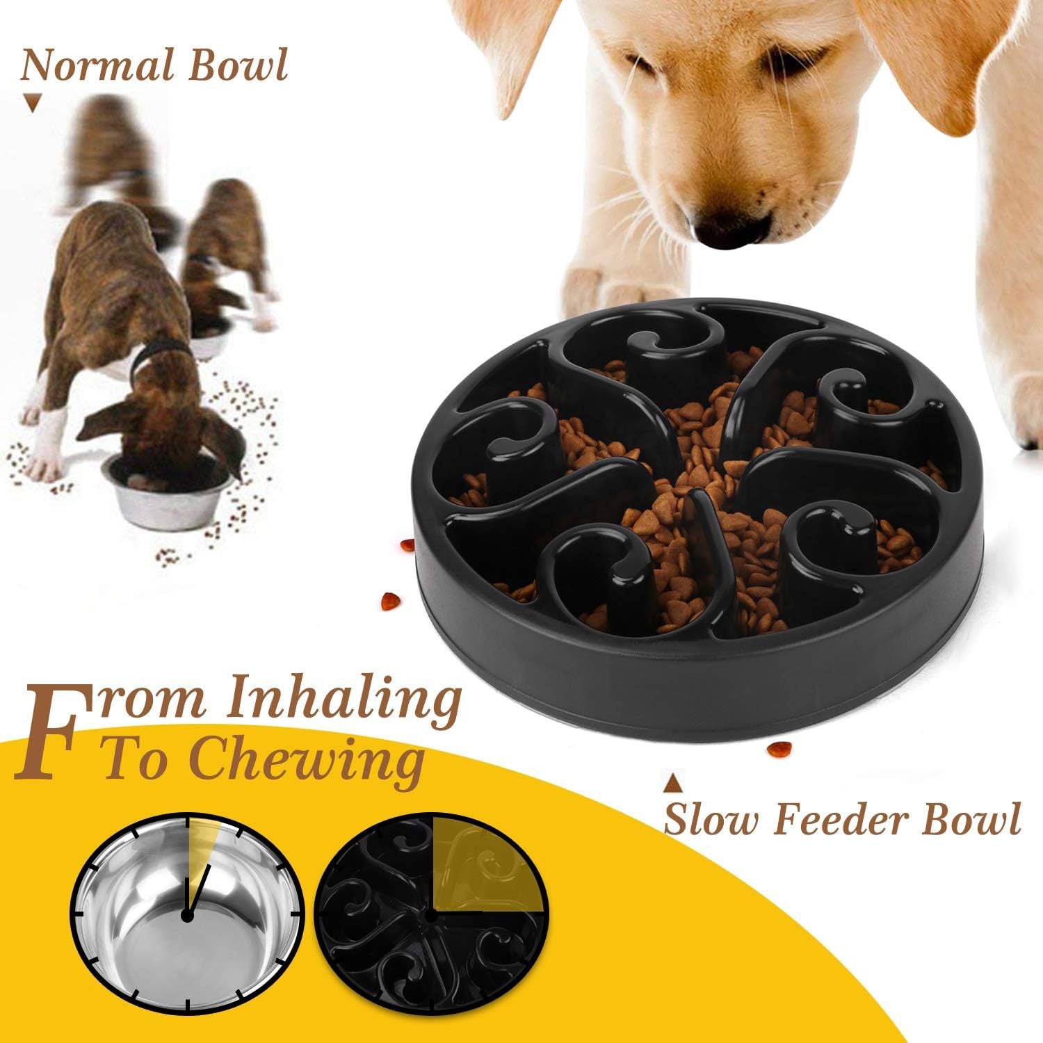 Pet Feeding Bowl