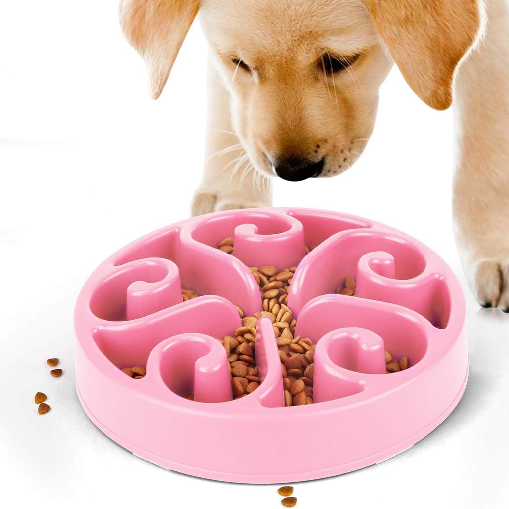 Pet Feeding Bowl
