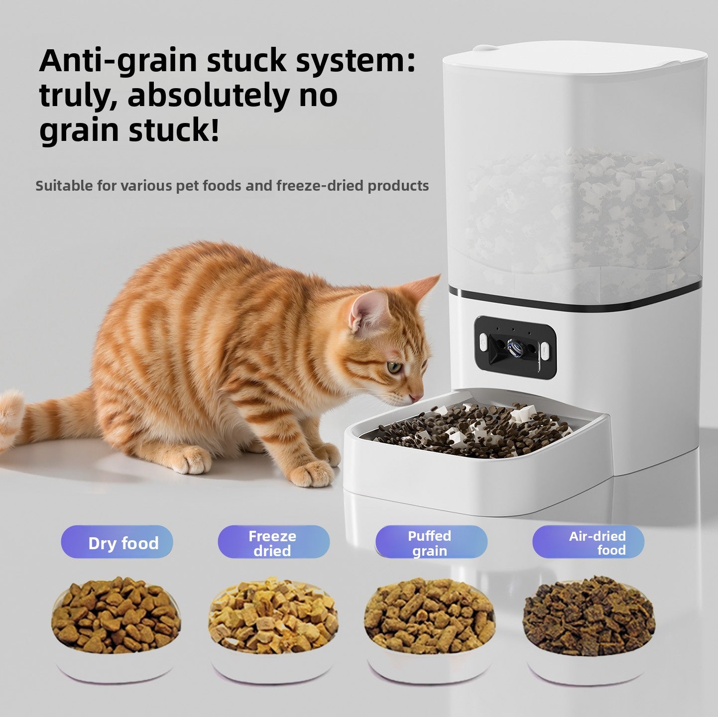Pet Intelligent Visible Feeding Device